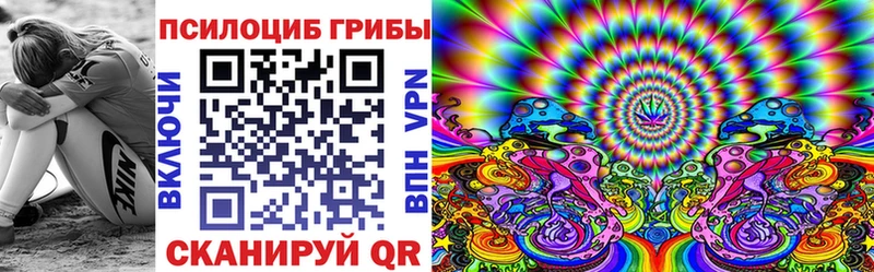 Псилоцибиновые грибы Psilocybine cubensis  Высоцк 